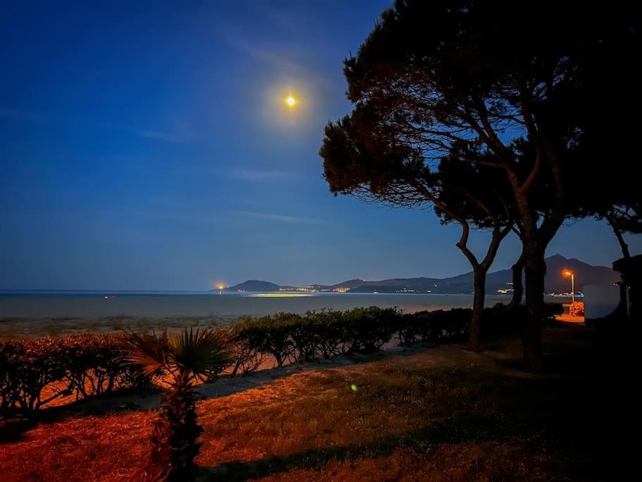 Appartement Mignon A 100M De La Plage, Argeles-Sur-Mer - 3 Personnes Exteriér fotografie